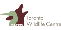 Toronto Wildlife Centre